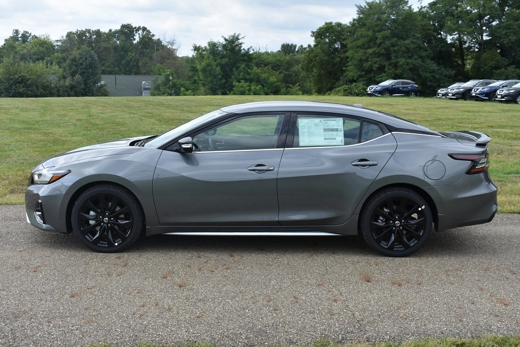 Nissan maxima Grey